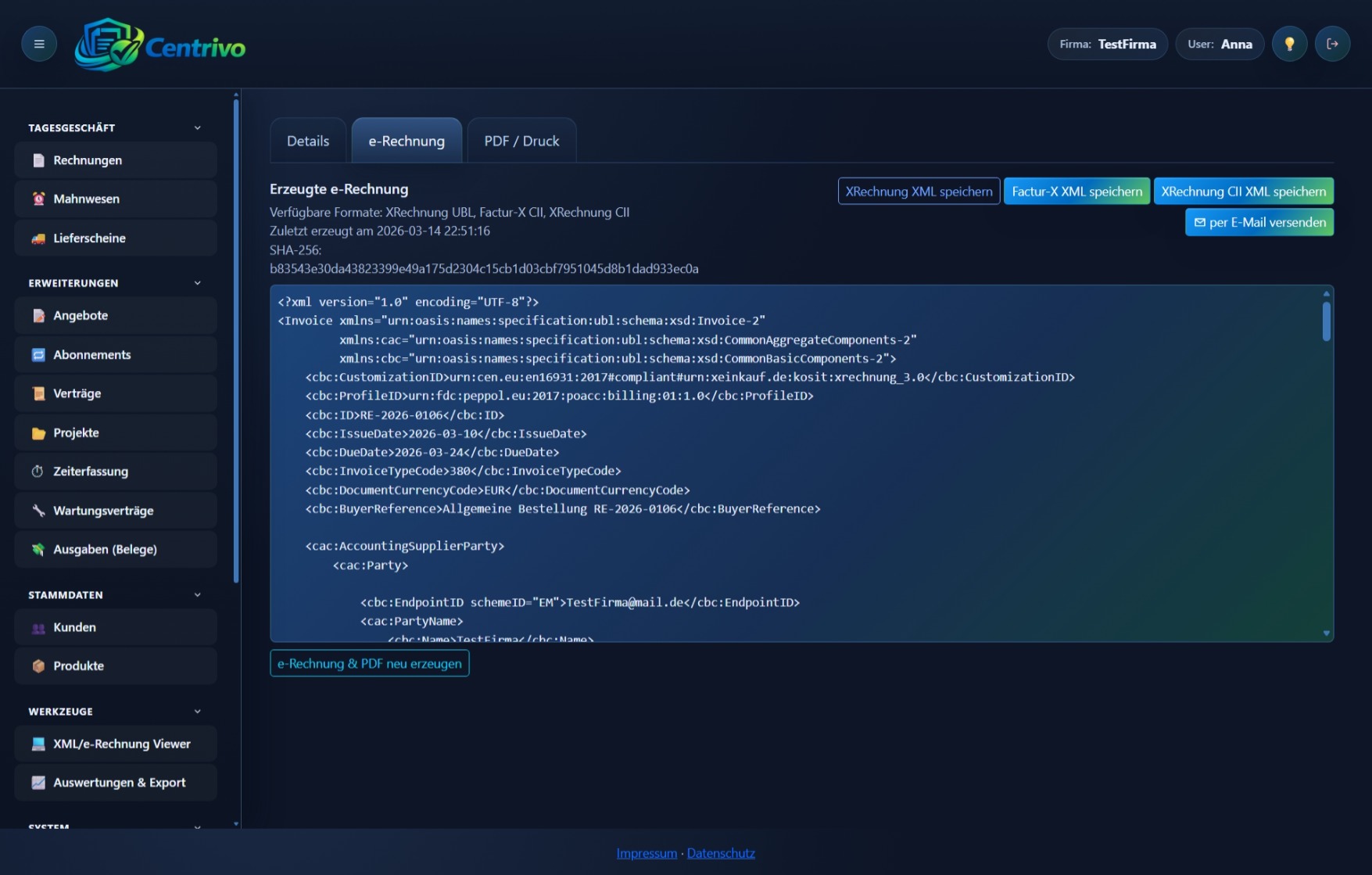Rechnungsansicht mit E-Rechnungsbezug